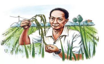袁隆平的事迹优秀5篇