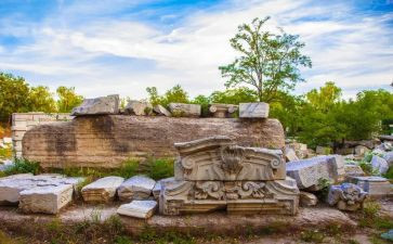 圆明园0的毁灭读后感6篇