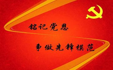 预备党员个人工作总结7篇
