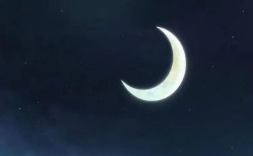 补月亮读后感精选7篇