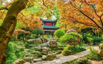 岳麓山作文7篇
