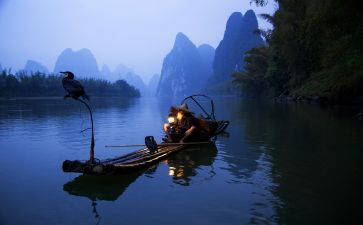 渔夫和金鱼的故事的读后感6篇
