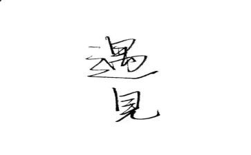 遇见美读后感6篇