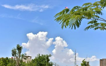 诗经云汉读后感6篇