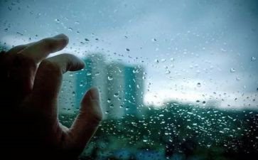 雨天使读后感6篇