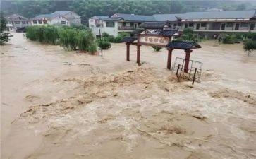 灾害救助申请书5篇