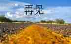 再见母校作文500字6篇