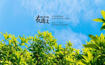 飞在路上读后感6篇