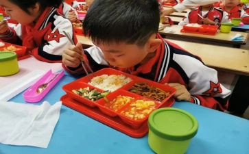 学生在校的学习心得体会6篇
