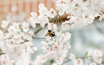 再也没有作文7篇