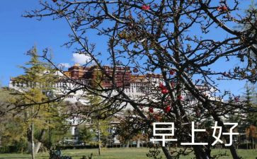 早课文读后感7篇