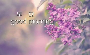 早教班培训心得体会6篇