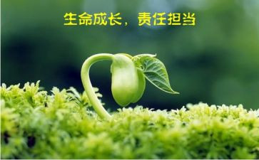 成长与责任作文6篇