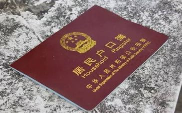 摘户口申请书推荐8篇