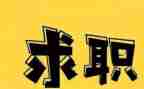 大学生找工作报告5篇