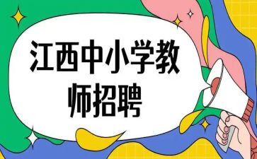 招教师的工作总结报告最新7篇