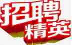 招聘组年终总结范文8篇