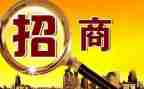 2024年招商工作报告5篇