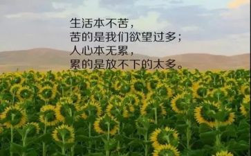 有关人生哲理的作文通用7篇