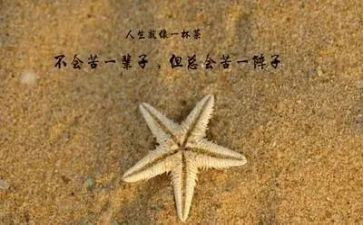 关于哲理的演讲稿8篇