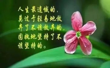 哲理故事及读后感7篇