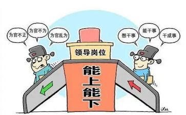 副乡镇长述职述廉报告7篇