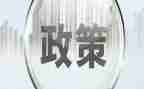 政策与形式心得体会6篇