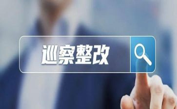 党建述职整改计划7篇