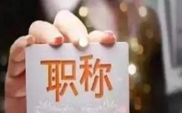 正高级职称个人述职报告8篇