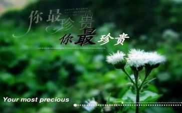 友谊的珍贵作文7篇