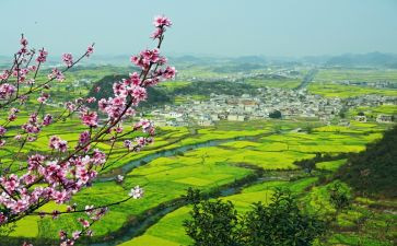 乡村振兴年度总结7篇