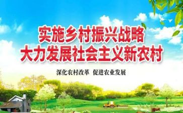 乡村振兴总结及工作计划8篇