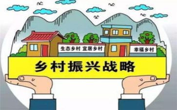 推动乡村振兴的心得体会5篇