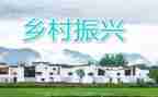 新时代乡村振兴心得体会6篇