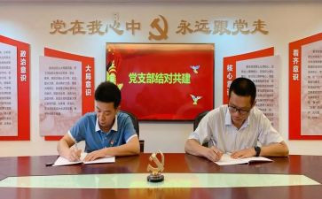支部述职报告2023年最新8篇