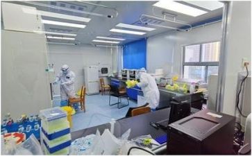 质量月工作总结推荐5篇
