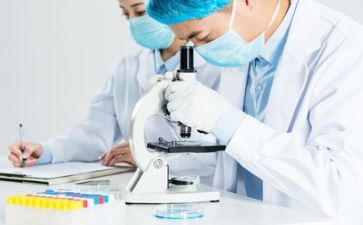 质量组工作计划通用6篇