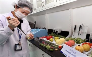 质量部述职报告8篇
