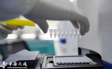 质量部的工作计划6篇