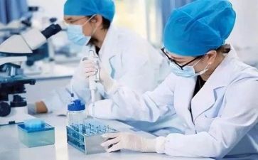 2024质量工作总结模板6篇