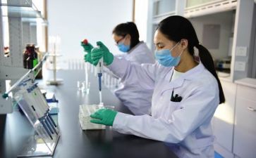 质量发言稿范文最新5篇