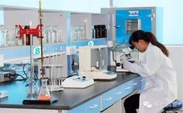 2024年质量工作总结5篇