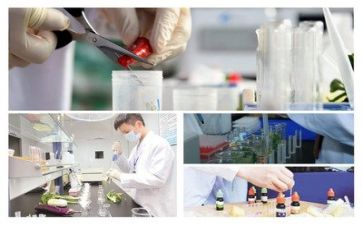 质量管理工作总结个人总结推荐6篇