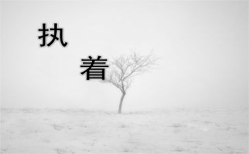 执着的我作文最新7篇