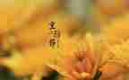 重阳节500字的作文7篇