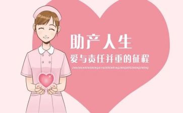 2024年助产士个人年终总结5篇