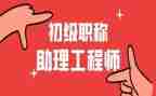助理工程师专业工作总结6篇