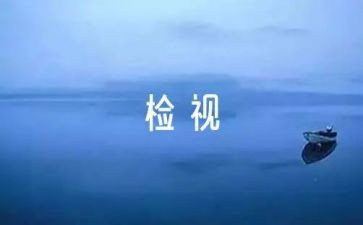 档案工作自检自查报告7篇