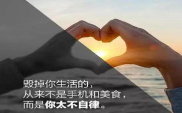 个人廉洁自律方面个人总结5篇