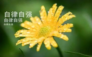 自立自强标兵事迹材料5篇
